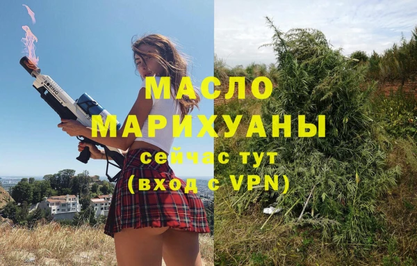 бошки Бронницы