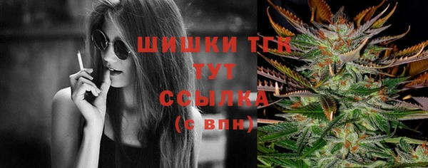 бошки Бронницы