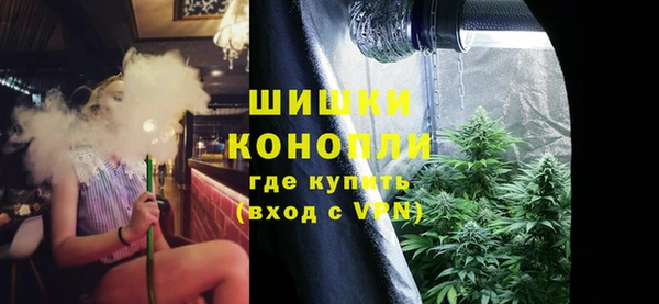 бошки Бронницы
