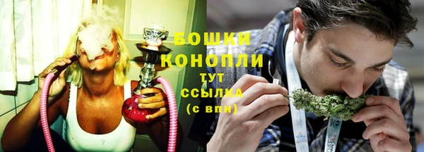 бошки Бронницы